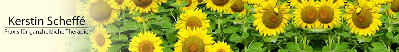 Sonnenblumen als Headerbild der Praxis für ganzheitliche Therapie Kerstin Scheffé in Heppenheim. Schwerpunkte sind die Verarbeitung emotionaler Belastungen, zwischenmenschlicher Konflikte, Traumafolgen sowie die Begleitung bei Lebenskrisen und Persönlichkeitsentwicklung.